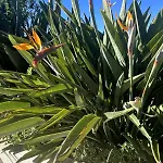 Casa Malho - Maison Avec Piscine Privee Sans Vis A Vis