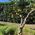 ヴィラ Casa Malho - Maison Avec Piscine Privee Sans Vis A Vis ポルティマン