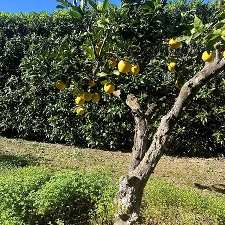 别墅 Casa Malho - Maison Avec Piscine Privee Sans Vis A Vis 波尔蒂芒